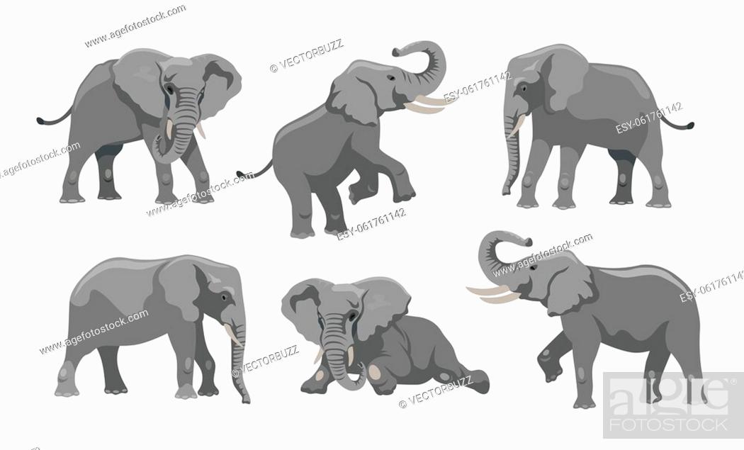 Gray elephant in different positions cartoon illustration set, Stock  Vector, Vector And Low Budget Royalty Free Image. Pic. ESY-061761142 |  agefotostock