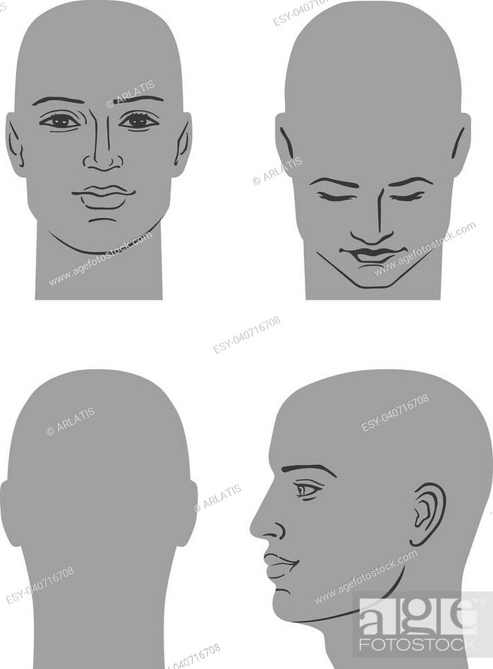 Man hairstyle head set (front, back, side views), vector illustration  isolated on white background, Stock Vector, Vector And Low Budget Royalty  Free Image. Pic. ESY-040716708 | agefotostock