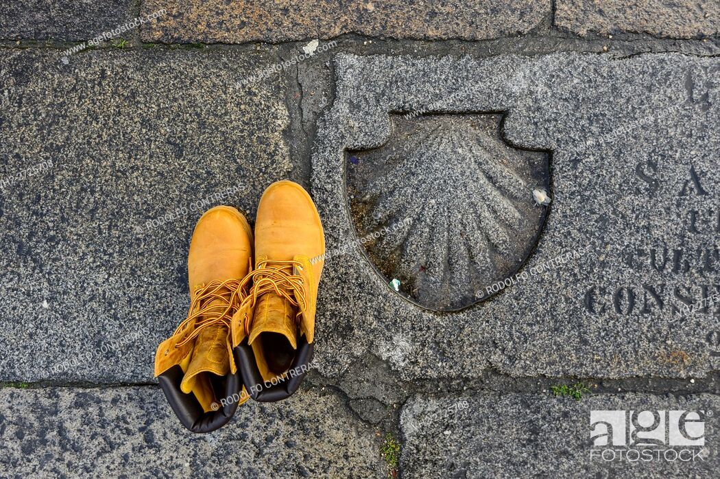 Stock Photo: Shell symbol on the floor, Santiago de Compostela.