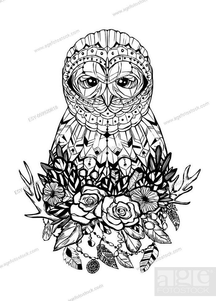 Vector wild owl bird animal tattoo silhouette hand-drawn drawing  illustration in tribal boho line..., Stock Vector, Vector And Low Budget  Royalty Free Image. Pic. ESY-059920818 | agefotostock