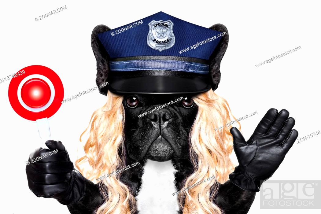 policewoman dog ON DUTY WITH stop sign and hand , isolated on white blank  background wearing a..., Stock Photo, Photo et Image Droits gérés. Photo  ZON-15748439 | agefotostock