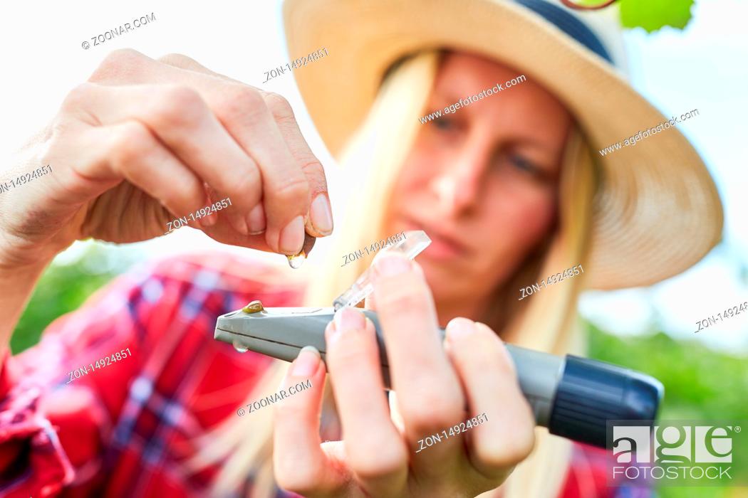 Photo de stock: Frau mit Handrefraktometer misst Reifegrad einer Weintraube bei der Weinernte im Herbst.