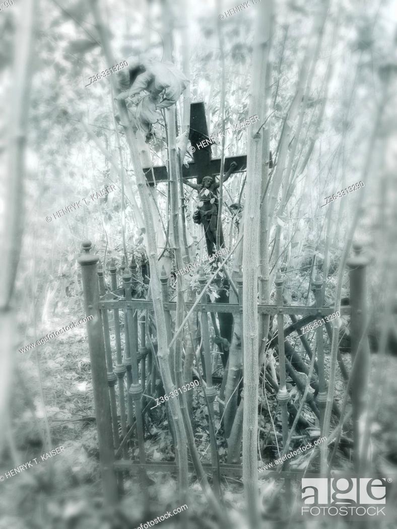 Stock Photo: Abandoned Polish Cemetery in Borislav, Ukraine.