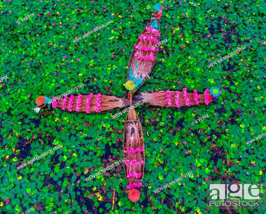 Stock Photo: BARISHAL, BANGLADESH - AUGUST 17: Aerial view of farmers collecting water lilies in Satla Union in Barishal, Bangladesh. Where: Barishal, Barishal.
