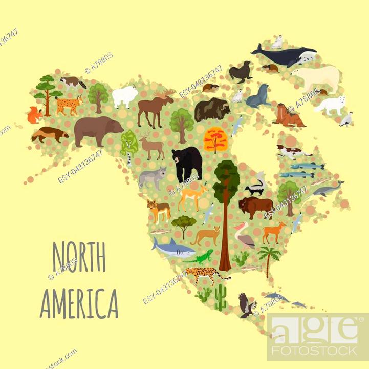 North America flora and fauna map, flat elements. Animals, birds and sea  life big set, Stock Vector, Vector And Low Budget Royalty Free Image. Pic.  ESY-043136747 | agefotostock
