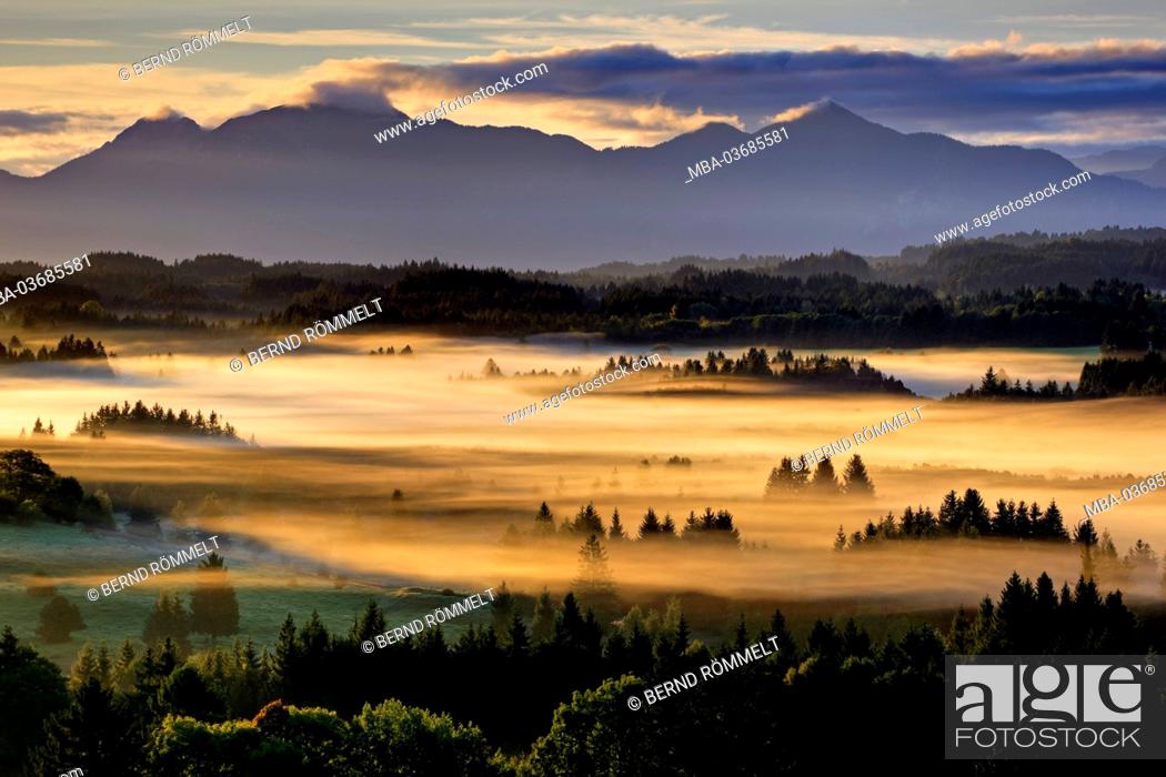 Stock Photo: Germany, Bavaria, Upper Bavaria, Pfaffenwinkel, Schönberg, Estergebirge, Bavarian Alpine foothills,.