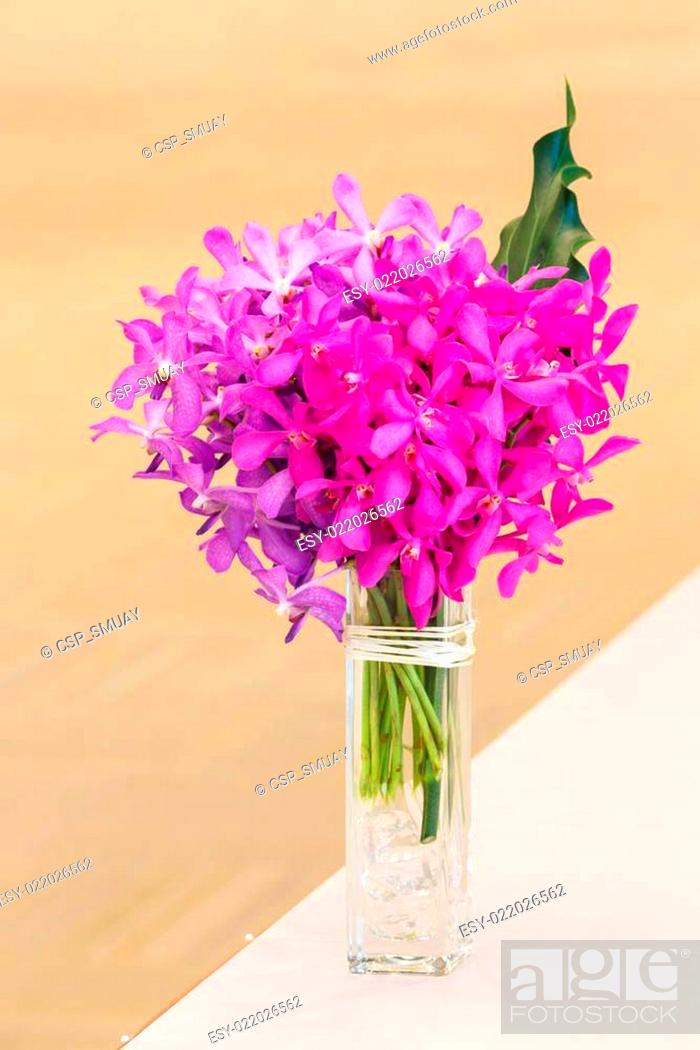 Stock Photo: Dendrobium orchid.