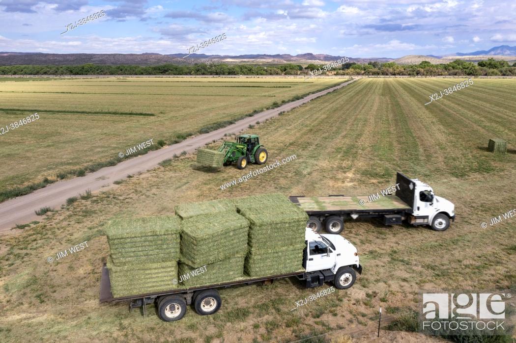 Stock Photo: San Acacia, New Mexico - Bales of alfalfa are stacked on a farm near the Rio Grande. The farm relies on water from the river for irrigation.