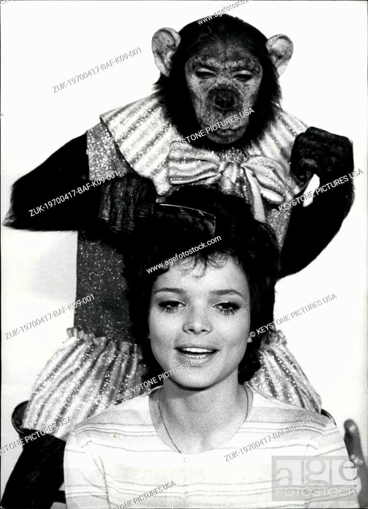 Stock Photo: Apr. 17, 1970 - Close friends are Uschi Glas, well-known German actress and Sammy, less known chimpanzee. They became acquainted during the turning of the film.
