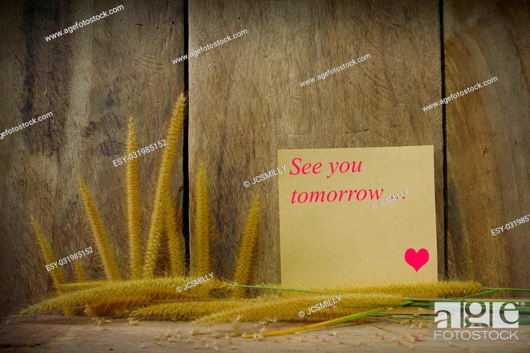 Stock Photo: Still life with see you word wrote on notepad and foxtail grass on wooden background.