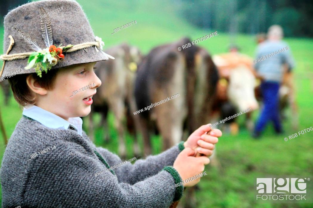 Stock Photo: Boy wearing traditional costume during Viehscheid, separating the cattle after their return from the Alps, Thalkirchdorf, Oberstaufen, Bavaria, Germany, Europe.