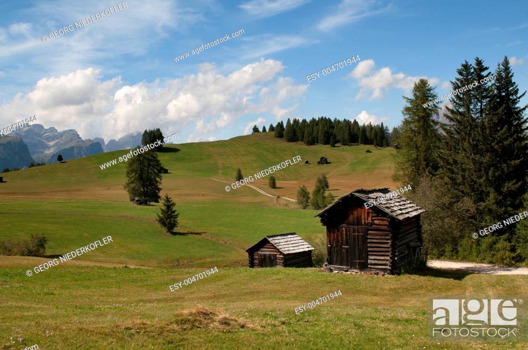 Stock Photo: Nature, Summer, Landscape, Sun, Mountain, Forest, Agriculture, Meadow, Resting, Resort, Way, Alps, Heaven, Fog, Summit, Hut, Leave, Sheep, Cloud, Dolomites, Alto Adige, South Tyrol, Willow, Recuperation, Migrate, Pl, Mountain Meadow, Wengen, Hochalm, Gadertal