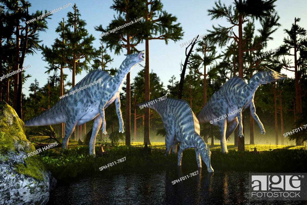Stock Photo: Saurolophus, computer illustration.