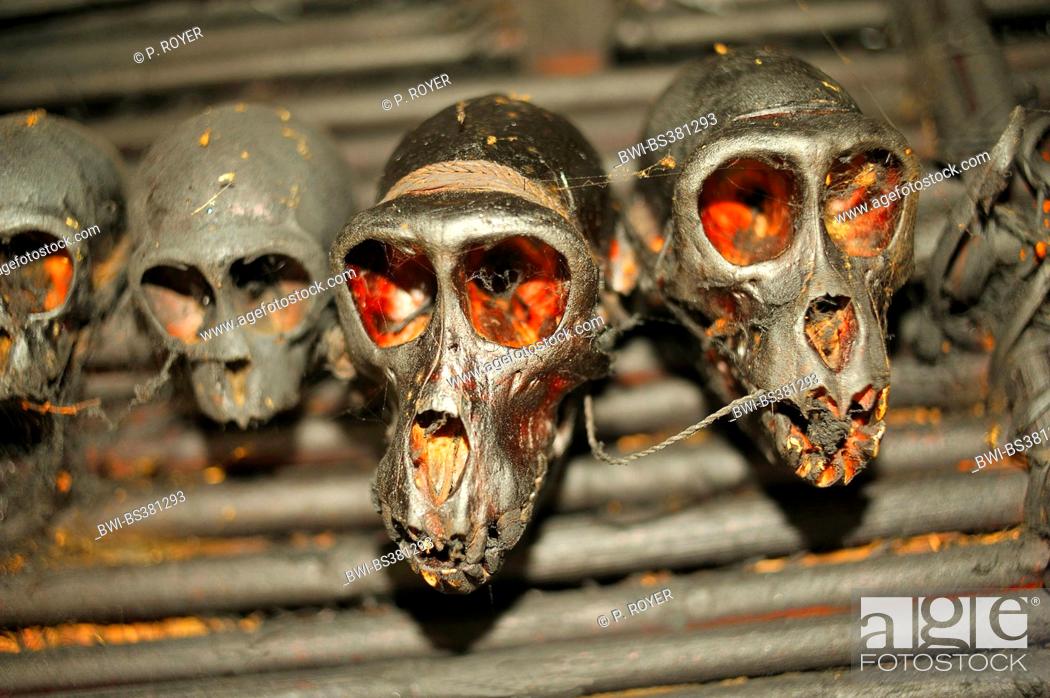 animal skulls, hunting trophies of the Ifuago tribe, Philippines, Luzon,  Banaue, Stock Photo, Picture And Rights Managed Image. Pic. BWI-BS381293 |  agefotostock