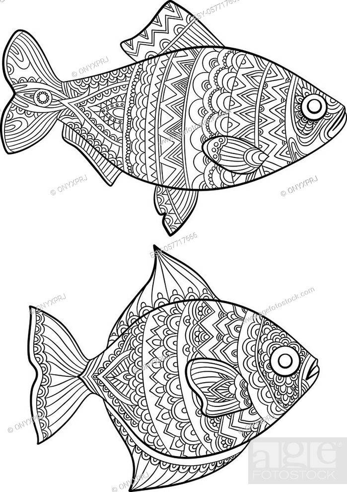 Fish coloring pages. Fashion drawing ocean animals drawings for adults  books linear art vector line, Stock Vector, Vector And Low Budget Royalty  Free Image. Pic. ESY-057717666 | agefotostock