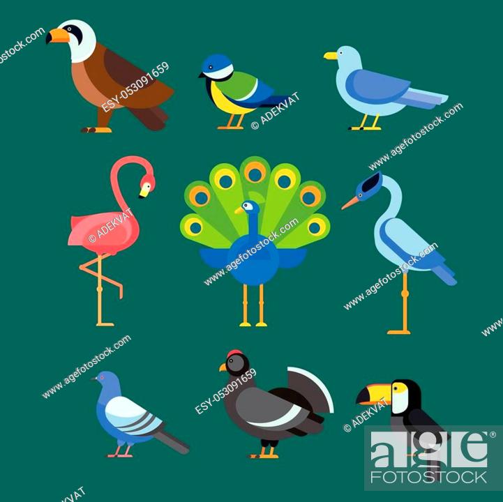 Birds vector set. Colorful wildlife nature collection. Cartoon wing flying  animal cute drawing..., Stock Vector, Vector And Low Budget Royalty Free  Image. Pic. ESY-053091659 | agefotostock