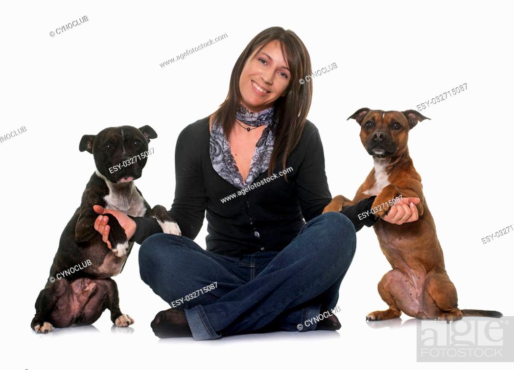 Stock Photo: woman and staffordshire bull terrier in front of white background.