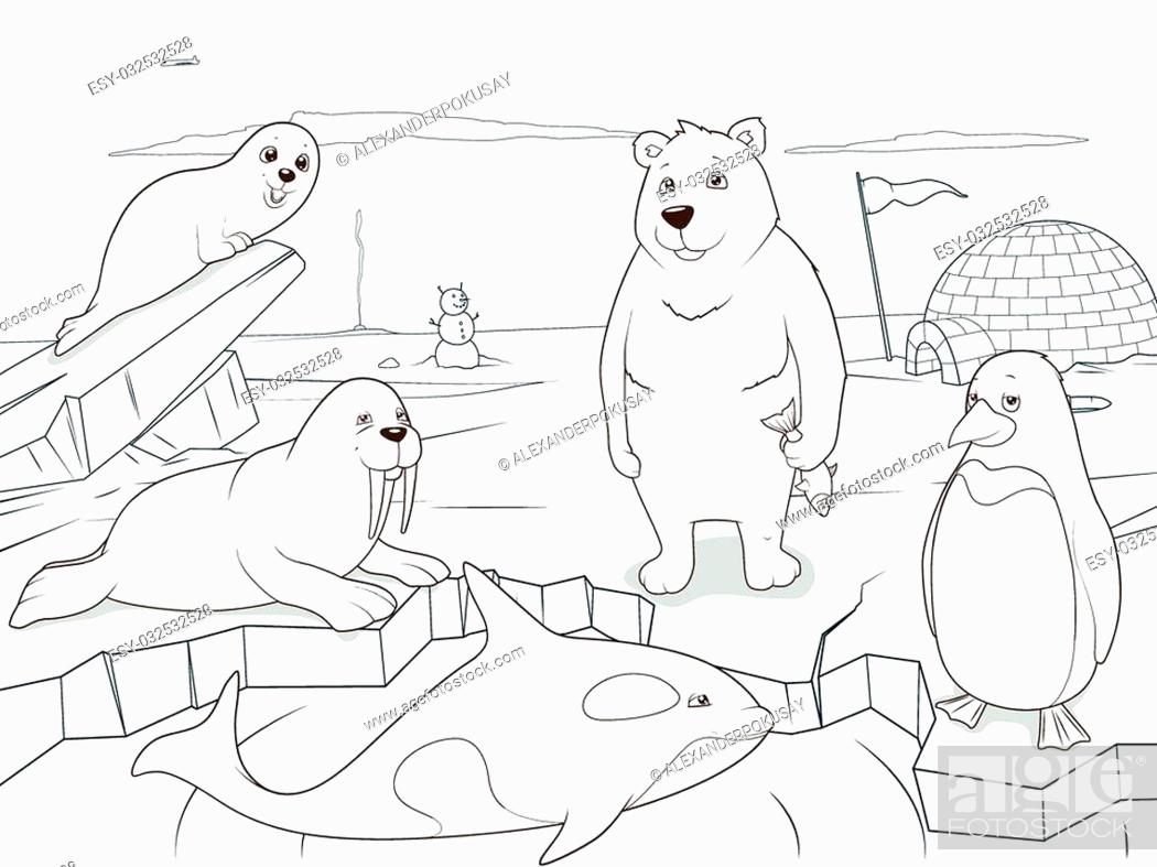 Arctic animals coloring book educational game for kids vector ...