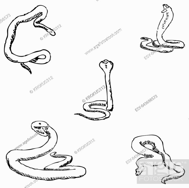 Aggregate more than 128 snake pencil sketch best