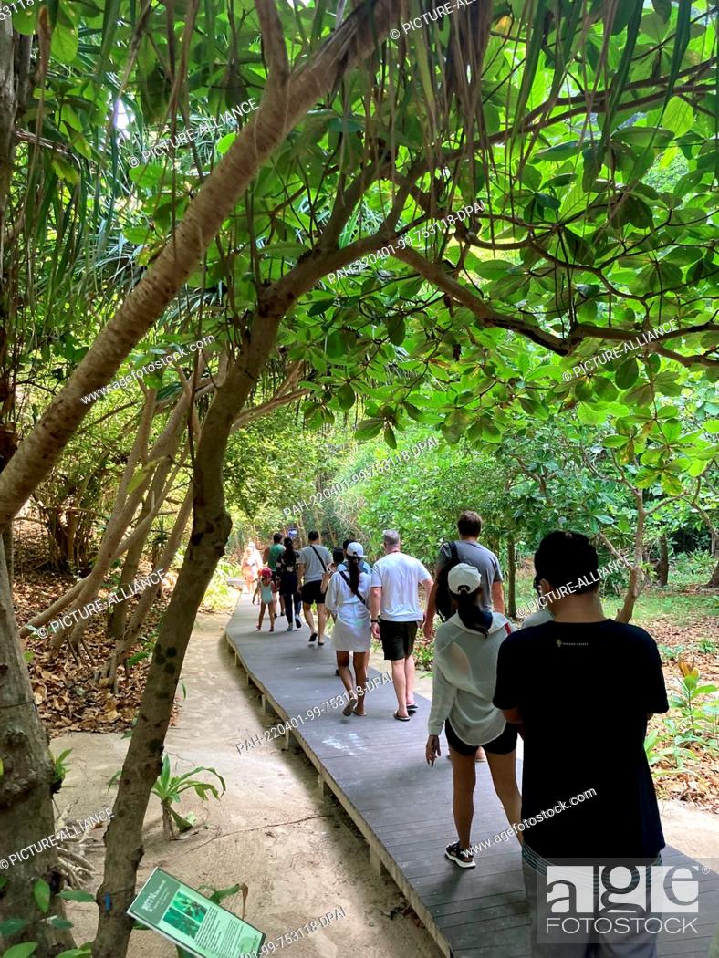 Stock Photo: PRODUCTION - 12 March 2022, Thailand, Ko Phi Phi Leh: Tourists walk across a wooden walkway from the jetty to Maya Bay. The rules for visiting the dream beach.