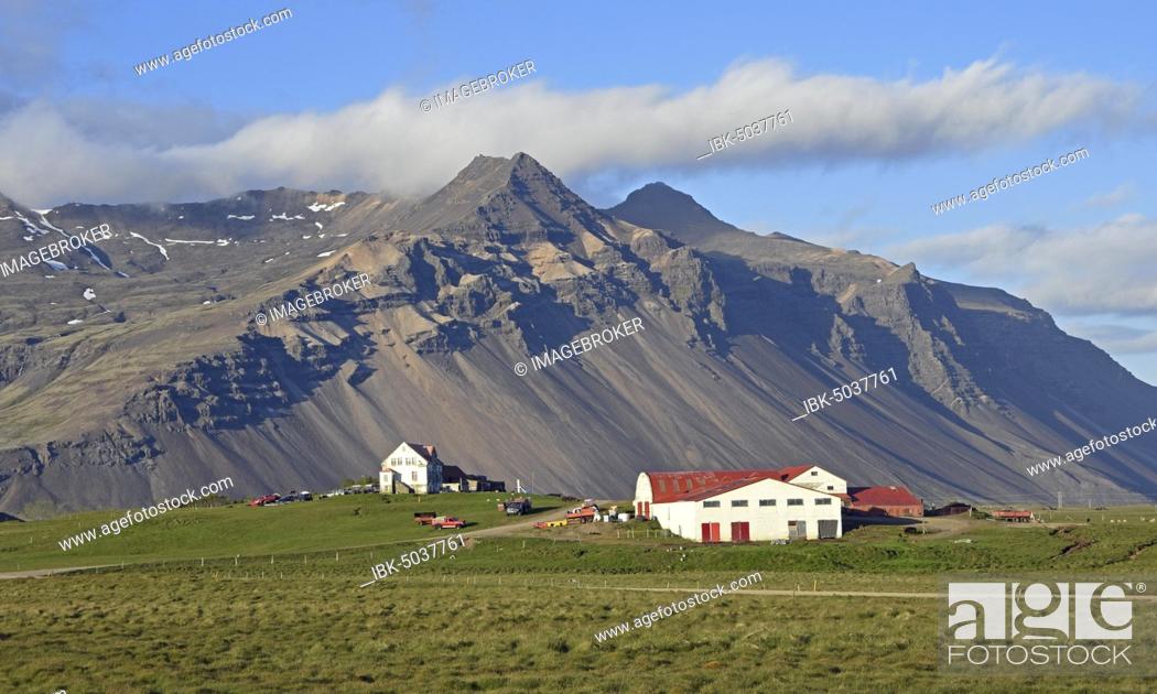 Stock Photo: Farm and mountain scenery with eroded scree slope in the evening light near Höfn, East Iceland, Iceland, Europe.