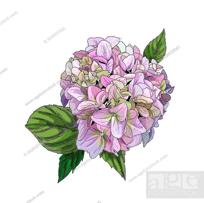 Flowers In Color Sketch Style High-Res Vector Graphic - Getty Images