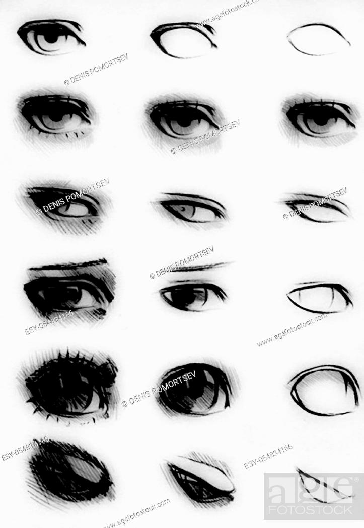 Tutorial of drawing a human eye. Eye in anime style. female eyelashes,  Stock Photo, Picture And Low Budget Royalty Free Image. Pic. ESY-054834166  | agefotostock