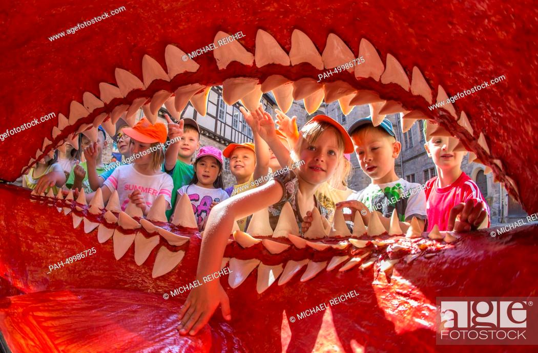 Stock Photo: Kindergarten children look at a replica jaw of an extinct Megalodon shark at the natural history museum at Bertholdsburg Palace in Schleusingen, Germany.