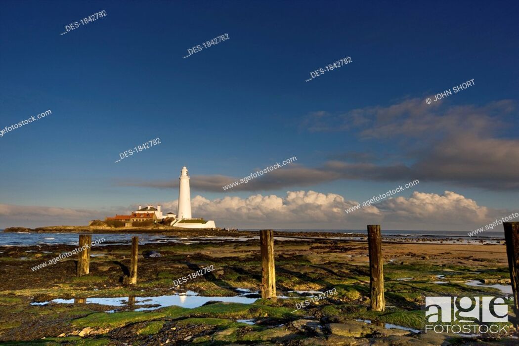 Photo de stock: Shore and lighthouse in distance, Whitley Bay, Northumberland, England.