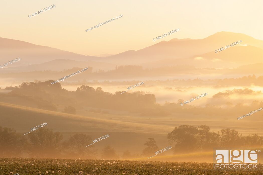Photo de stock: Morning fog in Turiec basin and floodplain of river Turiec, Slovakia.