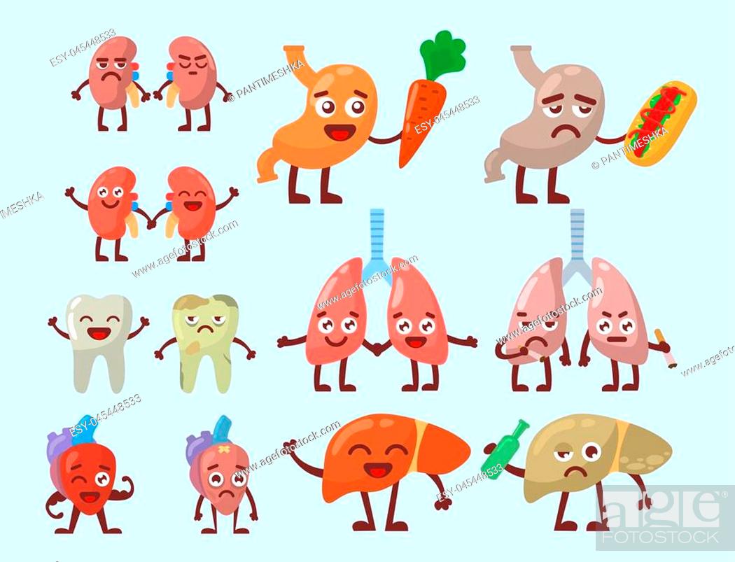 Human organs healthy and unhealthy vector set. Medical anatomic funny  cartoon character pairs of..., Stock Vector, Vector And Low Budget Royalty  Free Image. Pic. ESY-045448533 | agefotostock