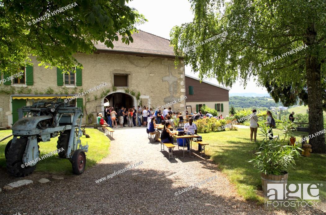 Stock Photo: 'Caves ouvertes' annual event when vineyards and cellars are open for public and tasting wines is possible, people enjoying event and tasting wines.