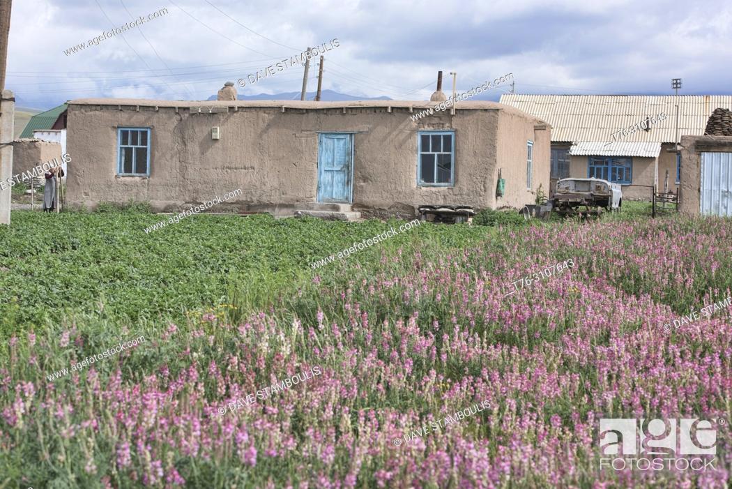Stock Photo: Local village life, Sary Mogul, Kygyzstan.