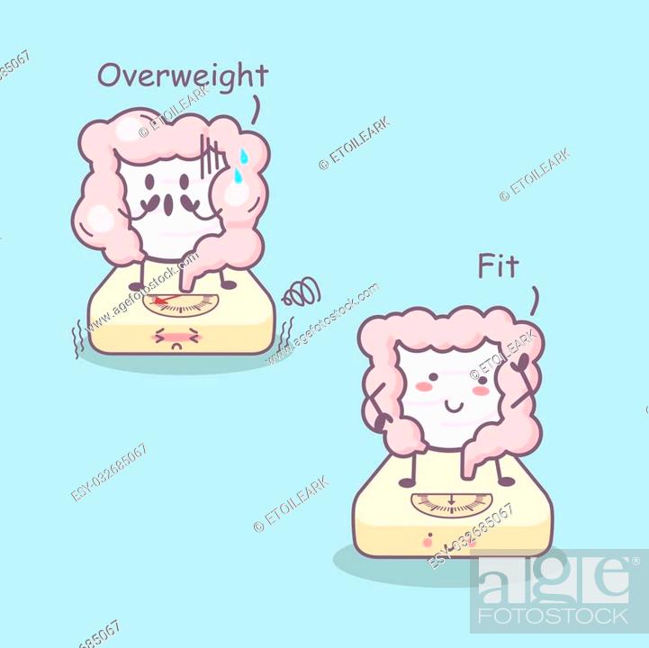 Cute cartoon fit and overweight intestine with weighing scale- great for  health care concept, Stock Vector, Vector And Low Budget Royalty Free  Image. Pic. ESY-032685067 | agefotostock