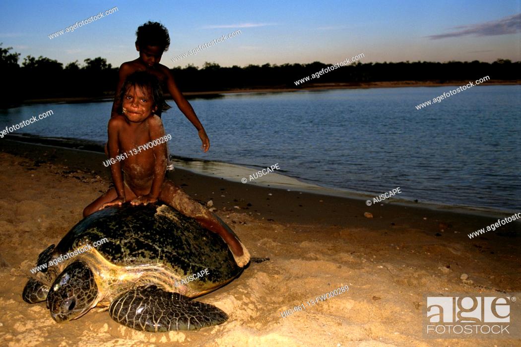 Stock Photo: Green turtle on beach, with Aboriginal children riding on its back, Northern Territory, Australia.