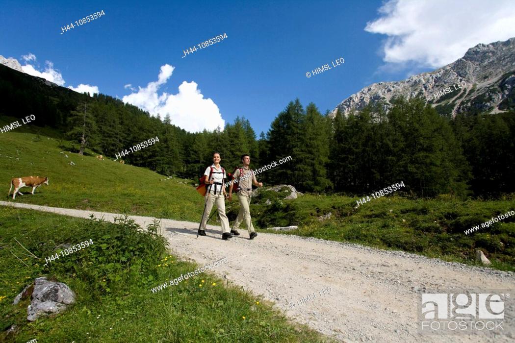 Stock Photo: 10853594, Walking, Hiking, Ramsau, Dachstein, Styr.
