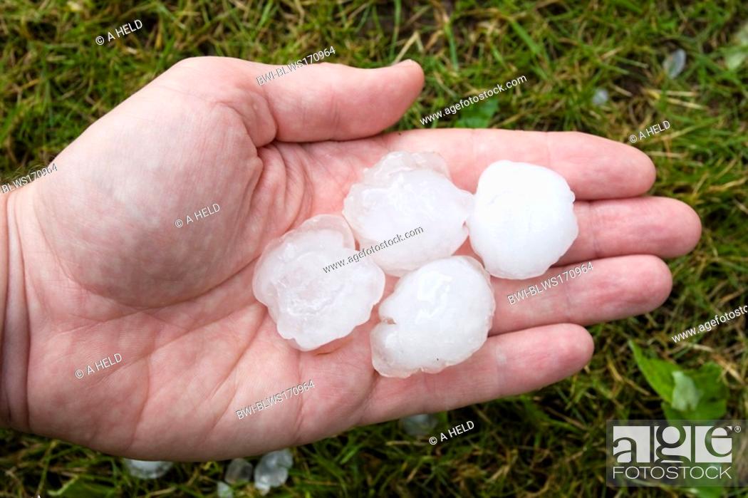 Stock Photo: big hailstones on hand, Germany, Baden-Wuerttemberg, Eberbach.