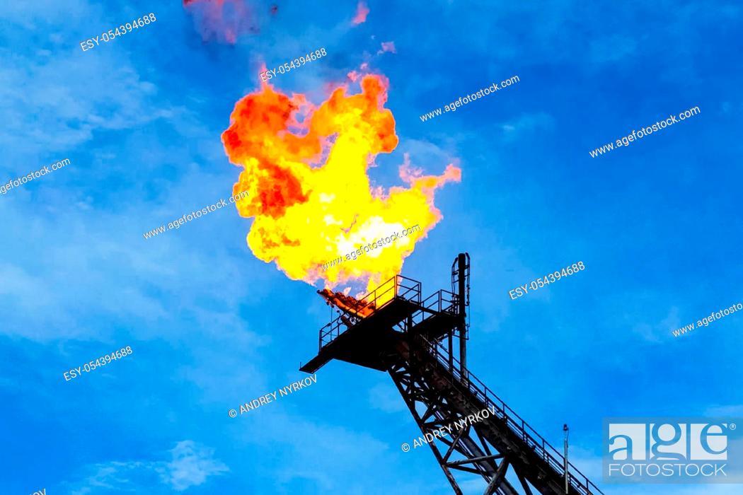 Stock Photo: Burning the torch at the torch plant burning associated natural gas on the oil platform.