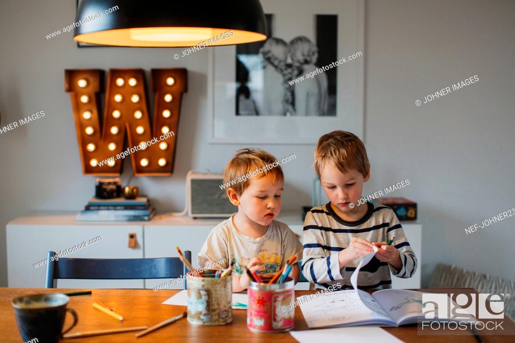 Stock Photo: Brothers doing homework at home.