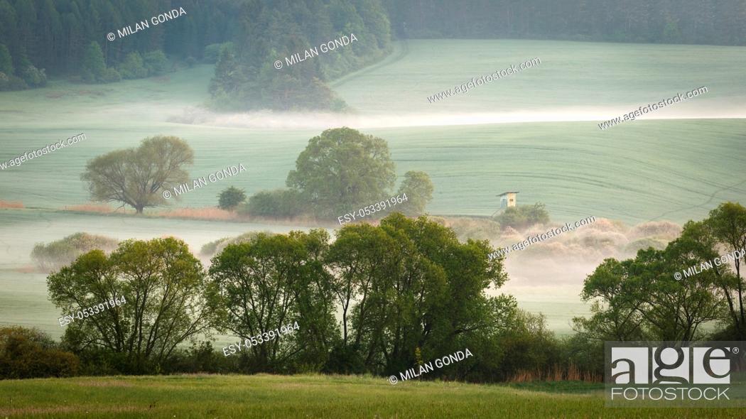 Stock Photo: Rural landscape of Turiec region in northern Slovakia on a foggy morning.