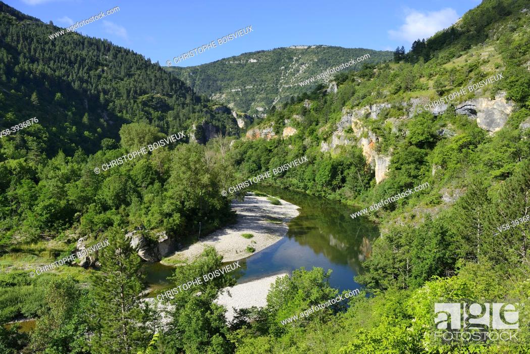 Photo de stock: France, Lozère, Gorges du Tarn.