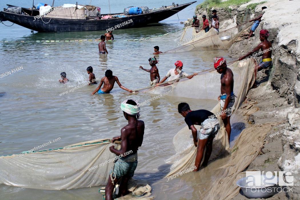 Stock Photo: Fishermen catching fishes at the Padma River Pabna, Bangladesh June 2010.