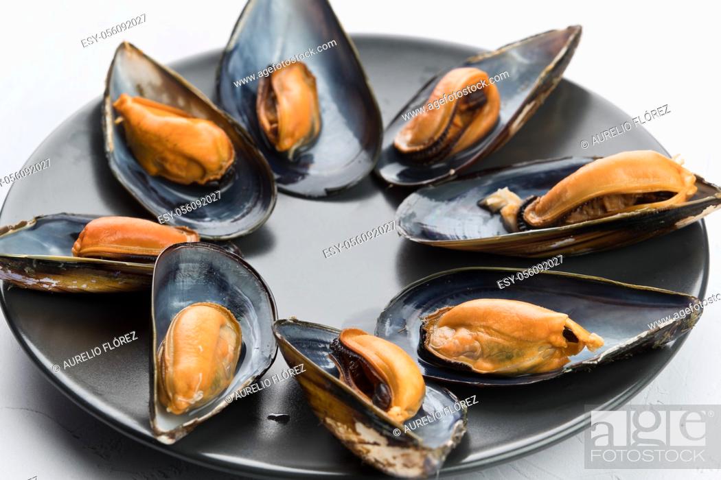 Stock Photo: Mussels are a family of bivalve mollusks of great economic and gastronomic interest. Like other bivalves, they are filter feeders that live attached to the.