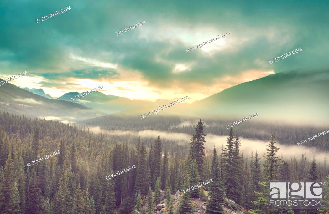 Stock Photo: Beautiful morning scene in the mountains. Fog at sunrise.