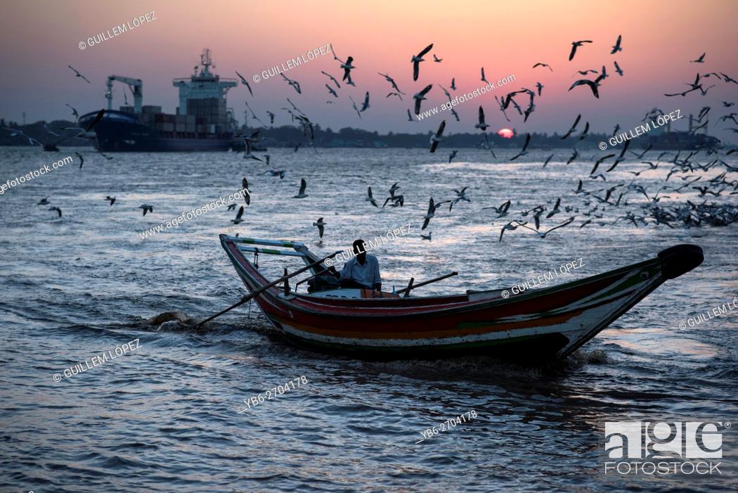 Stock Photo: A long boat surrounded by a flock of birds at the Irrawaddy River at sunset, Yangon, Myanmar.