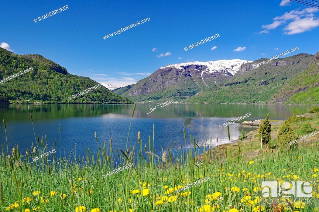 Stock Photo: Spring landscape, meadows and fjord, Sognefjord, Sogndal, Morwegen.