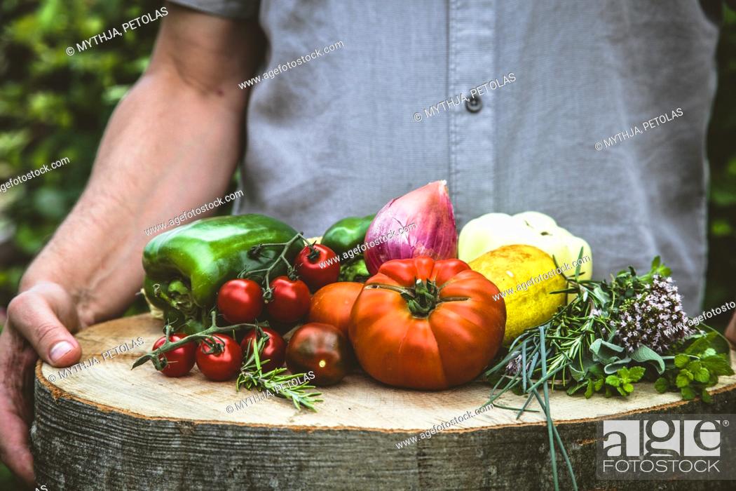 Stock Photo: Organic vegetables - Farmers hands with freshly harvested vegetables.