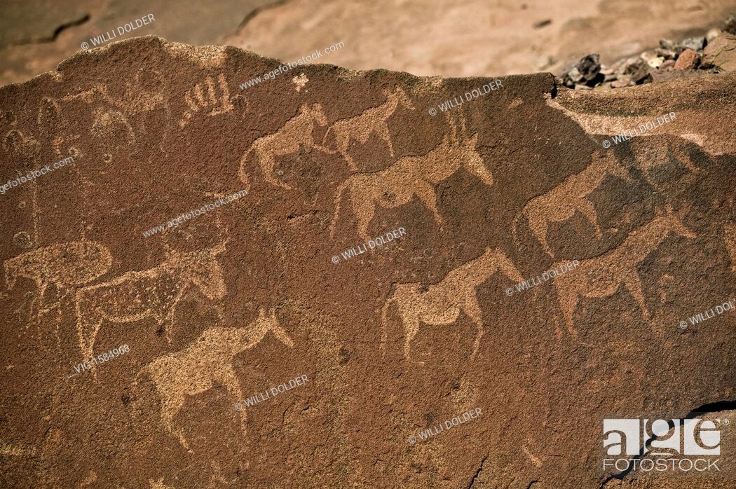 Stock Photo: Twyfelfontein rock carvings of bushmen, Damaraland, Namibia. - , Damaraland, NAMIBIA, 31/01/2008.