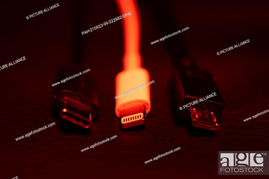Stock Photo: 22 September 2021, Lower Saxony, Oldenburg: A USB-C (l-r), an Apple Lightning and a Micro-USB cable (l-r) can be seen next to each other.