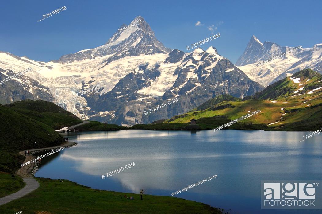 Stock Photo: Am Bachalpsee, Blick auf die Schweizer Alpen mit Schreckhorn und dem Finsteraarhorn, Grindelwald, Berner Oberland, Schweiz / At the mountain lake Bachalpsee.